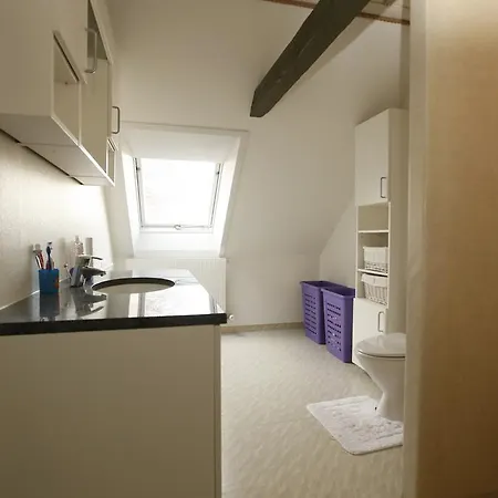 Apartment Loftgard Bed And Bath